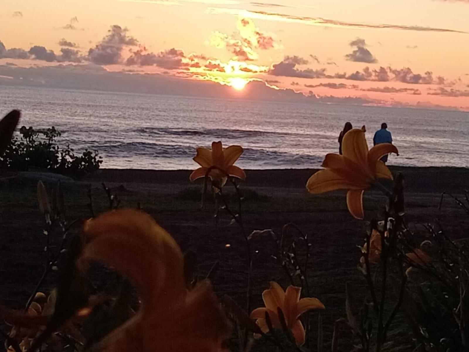 הנגה רואה Cabanas & Hostal Tojika מראה חיצוני תמונה